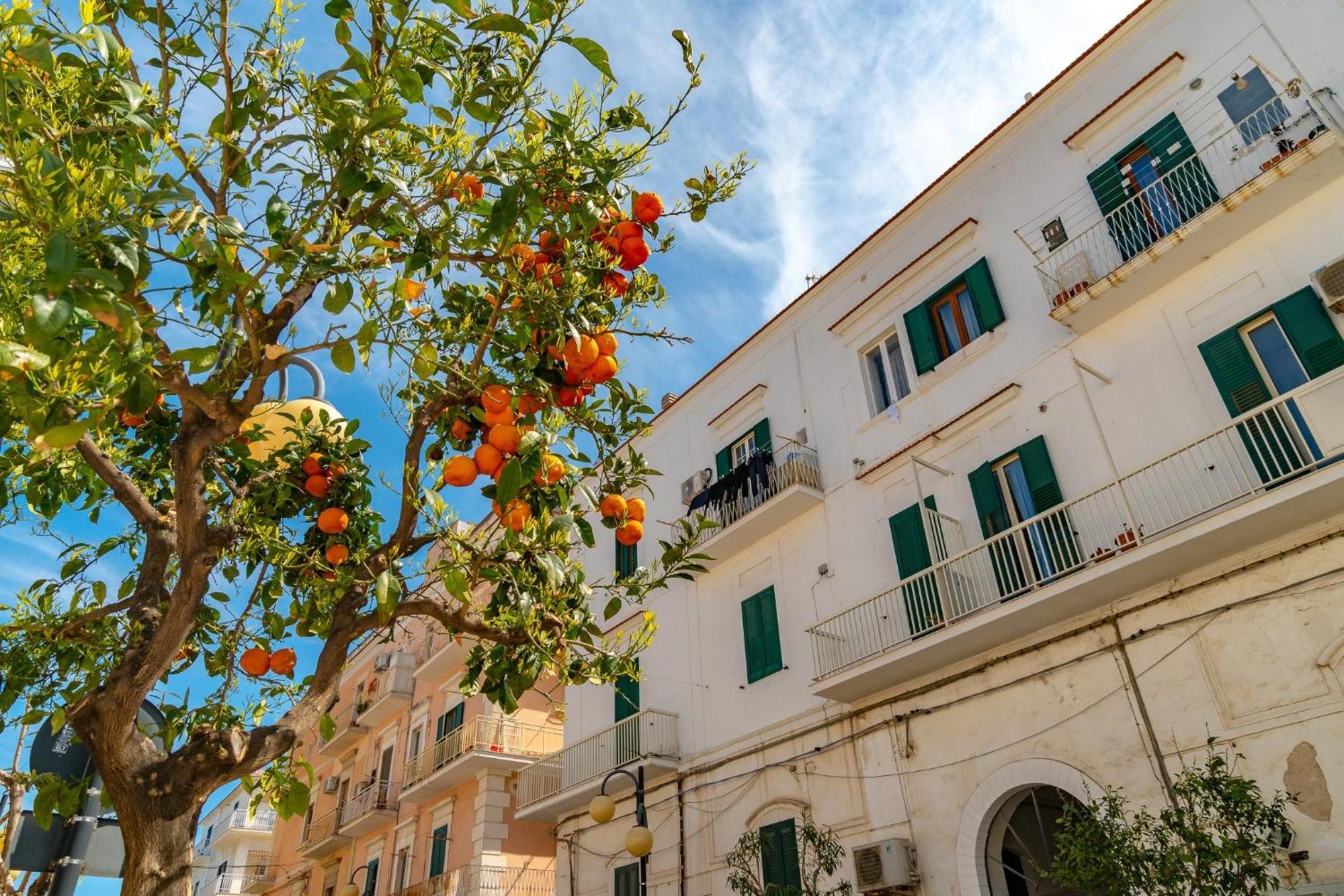Villa Mapa - Appartamenti Vicino Al Mare В'єсте Екстер'єр фото